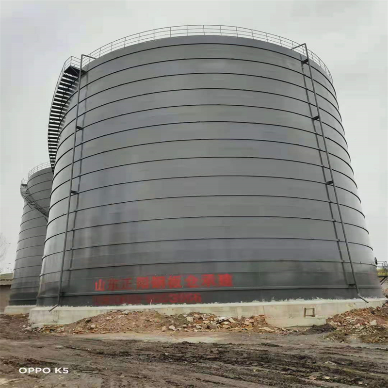 姜堰3万吨大型钢板库